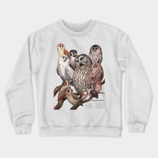 Owls of the Northeast Crewneck Sweatshirt